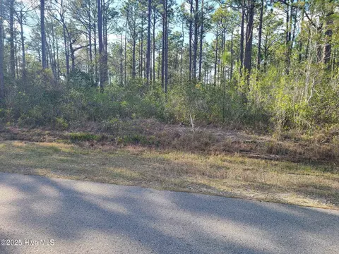 lot208 Pepperhill Rd, Boiling Spring Lakes, NC 28461