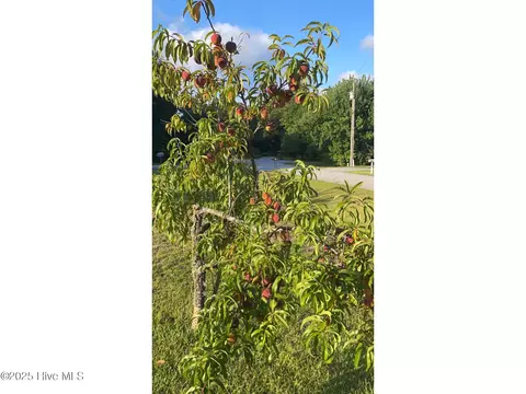 Exterior - 309 Tassel Ct, Hubert, NC 28539 photo 17 of 20