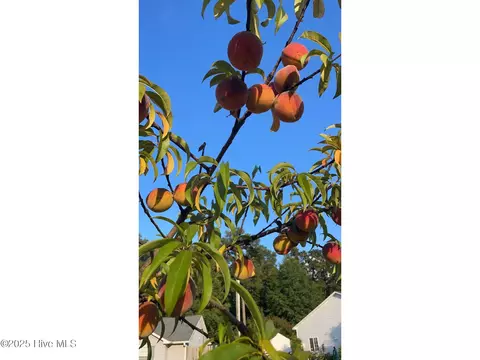 Other - 309 Tassel Ct, Hubert, NC 28539 photo 27 of 28