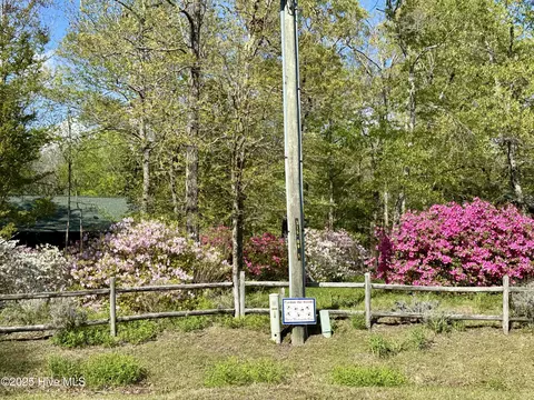 Exterior - 309 Tassel Ct, Hubert, NC 28539 photo 19 of 20