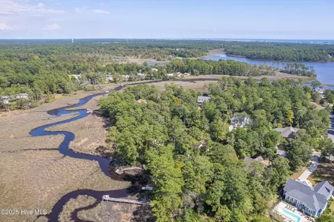 View/Area - 117 Canvasback Pt, Hampstead, NC 28443 photo 5 of 6