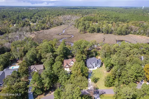 View/Area - 117 Canvasback Pt, Hampstead, NC 28443 photo 2 of 6