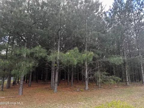 0 Nc 118, Grifton, NC 28530