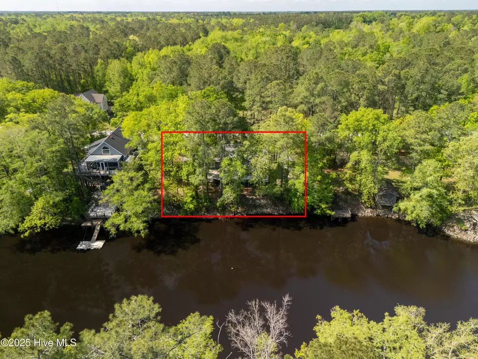 View/Area - 1379 River Bend Dr, Burgaw, NC 28425 photo 12 of 20