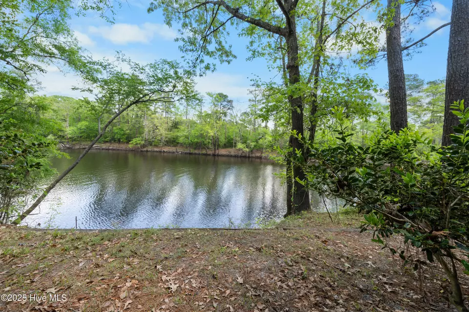 View/Area - 1379 River Bend Dr, Burgaw, NC 28425 photo 13 of 20
