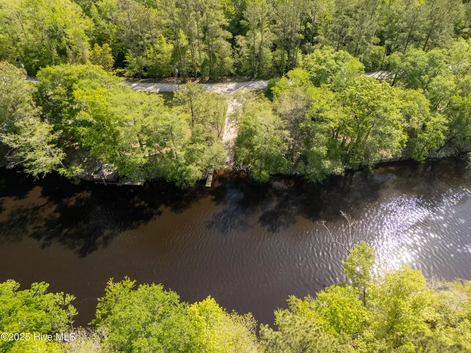 View/Area - 1379 River Bend Dr, Burgaw, NC 28425 photo 10 of 20