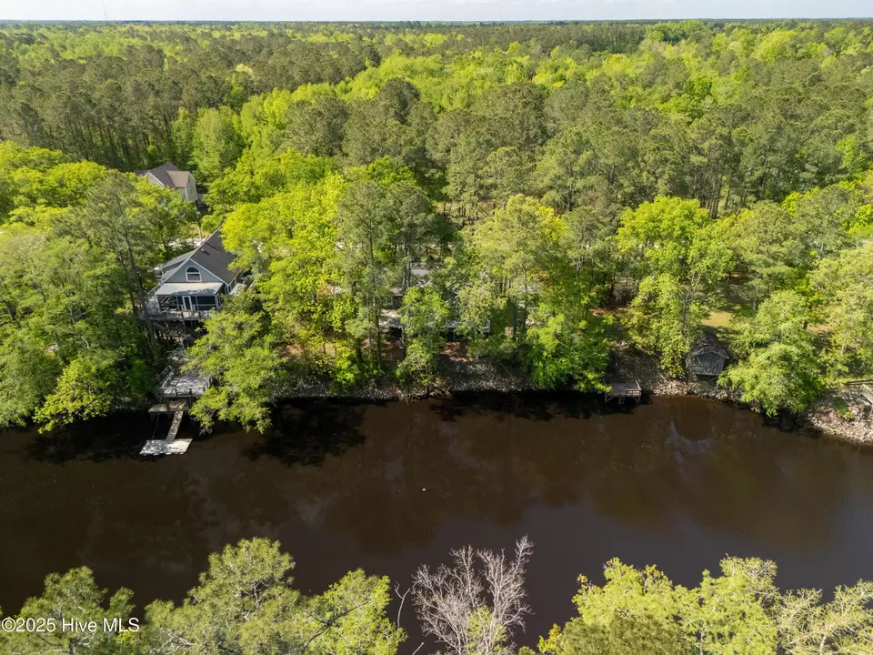View/Area - 1379 River Bend Dr, Burgaw, NC 28425 photo 16 of 20