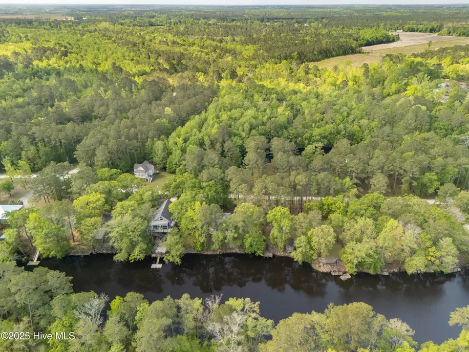 View/Area - 1379 River Bend Dr, Burgaw, NC 28425 photo 3 of 20