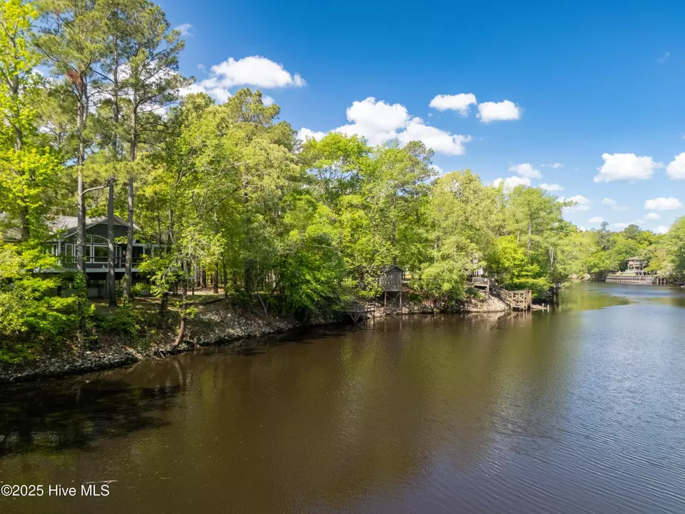 View/Area - 1379 River Bend Dr, Burgaw, NC 28425 photo 14 of 20