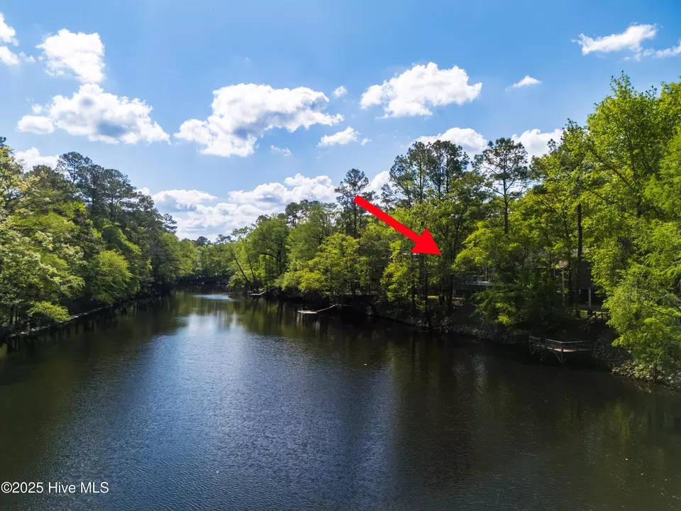 View/Area - 1379 River Bend Dr, Burgaw, NC 28425 photo 9 of 20