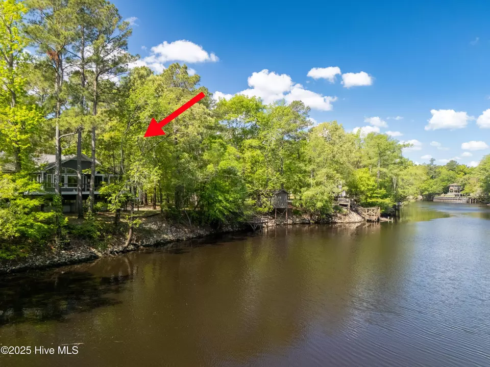 View/Area - 1379 River Bend Dr, Burgaw, NC 28425 photo 2 of 20