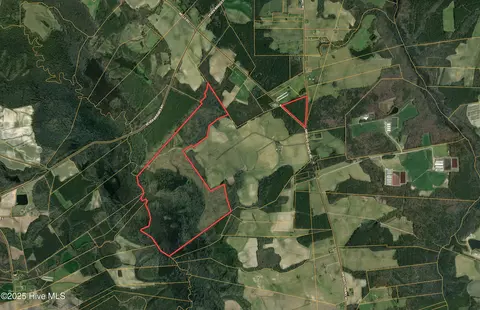 Off Speights Chapel Road, Whitakers, NC 27891