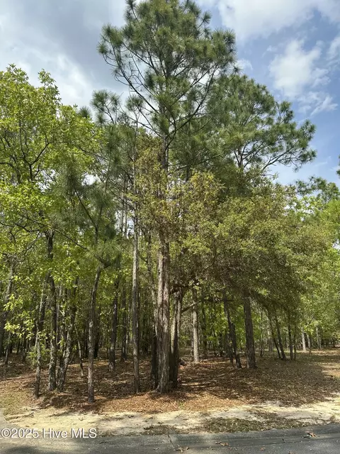 508 Estevao Ln SE, Bolivia, NC 28422