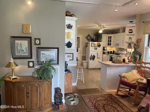 111 Spring Branch Dr, Harrells, NC 28444 photo 24