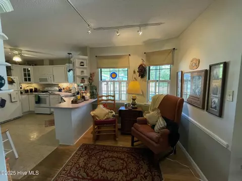 111 Spring Branch Dr, Harrells, NC 28444 photo 26