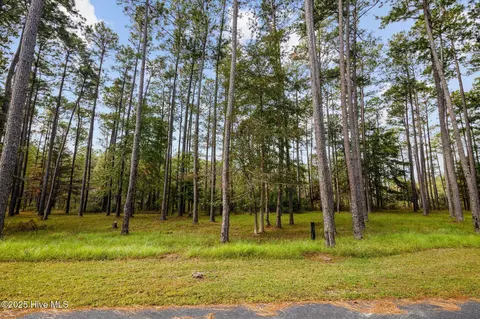 87 Broadview Pt, Oriental, NC 28571 photo 18