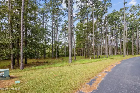 87 Broadview Pt, Oriental, NC 28571 photo 17