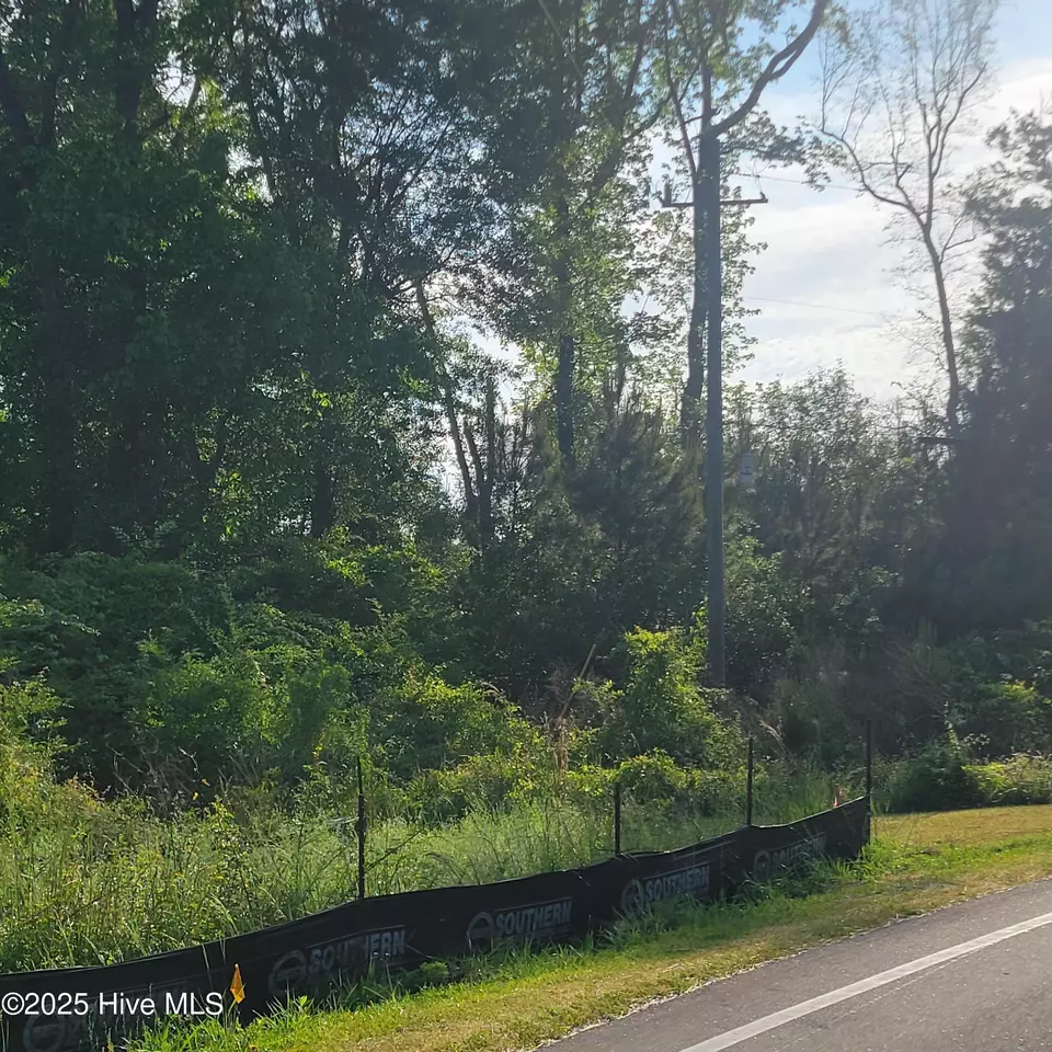 lot S N Wright St, Burgaw, NC 28425 photo 3
