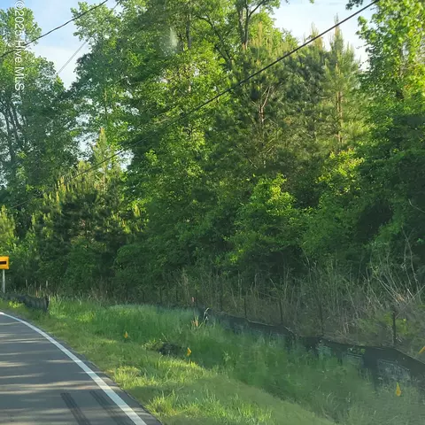 lot S N Wright St, Burgaw, NC 28425