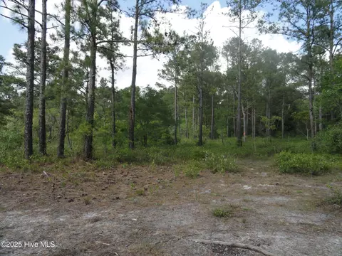 1 River Trl #LOT 1, Burgaw, NC 28425