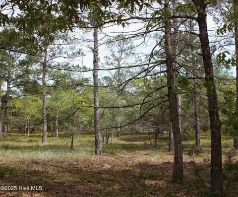 570 Bendigo Psge SE, Bolivia, NC 28422