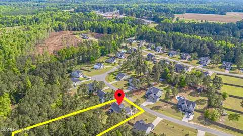 View/Area - 180 Cashew Loop, Cameron, NC 28326 photo 4 of 5