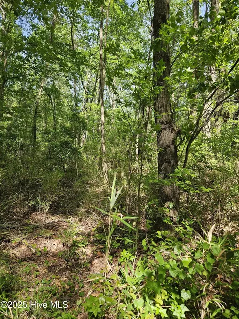 416 Sandy Ridge Rd, Tyner, NC 27980 photo 3