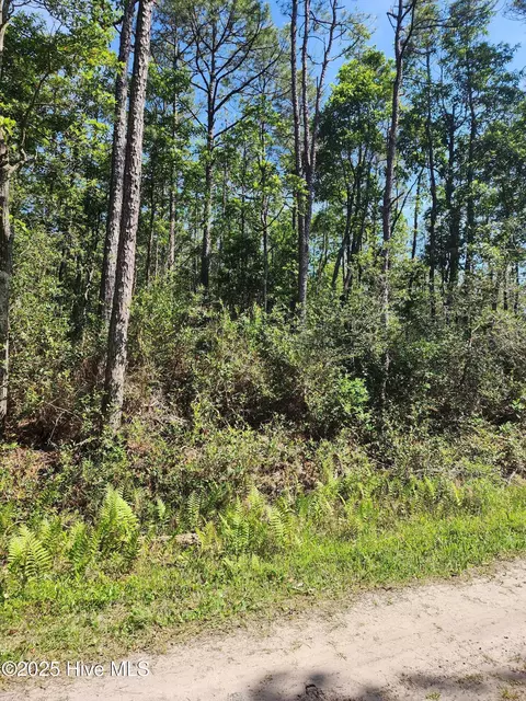 lot60 Drake Rd, Boiling Spring Lakes, NC 28461