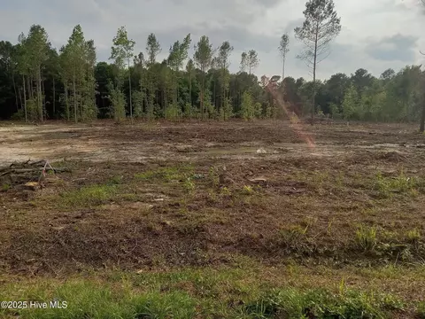 1291 Bill Hooks Rd, Whiteville, NC 28472