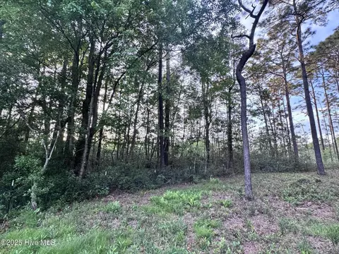 Other - 105 Sunset Ct, Hampstead, NC 28443 photo 14 of 17