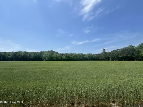 0 Clay Hill Rd, Gatesville, NC 27938