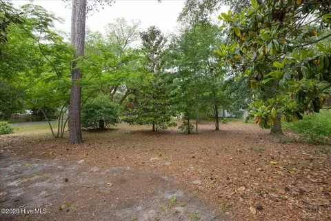 233 Loder Ave, Wilmington, NC 28409 photo 18