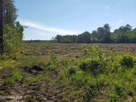 23 95ac Loop Rd, Bolton, NC 28423