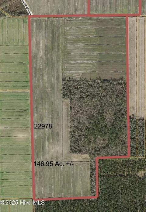 0 Sr 1918 Rd, Aurora, NC 27806 photo 22