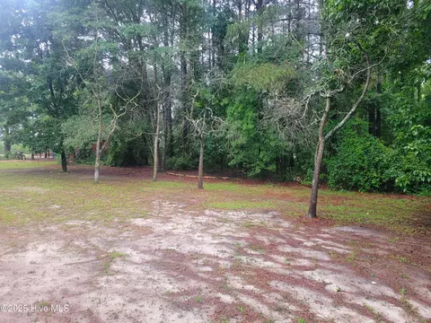 1810 Hickerson Cir, Deep Run, NC 28525 photo 25