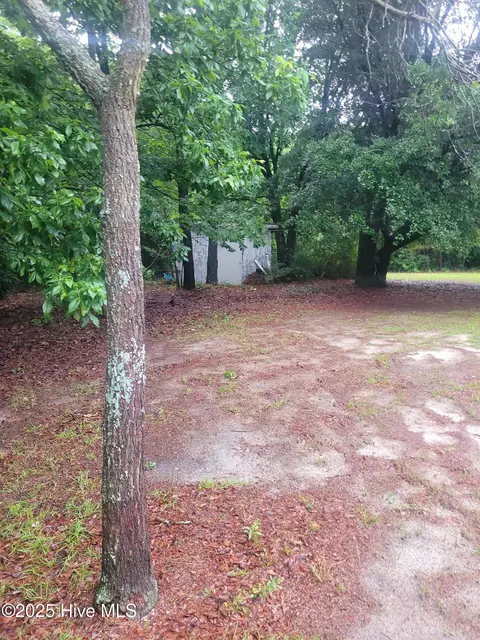 1810 Hickerson Cir, Deep Run, NC 28525 photo 24
