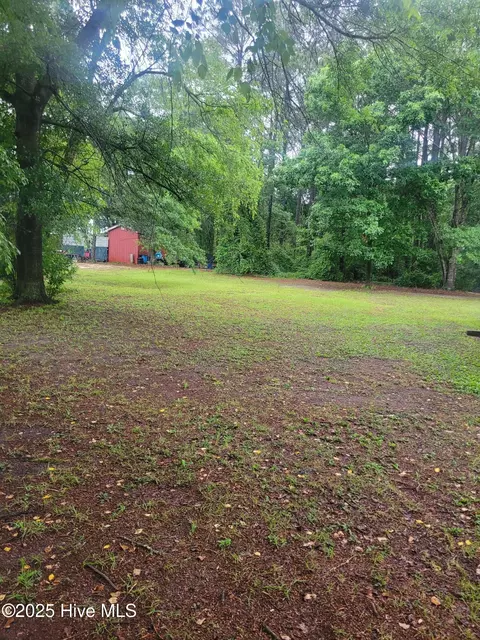 1810 Hickerson Cir, Deep Run, NC 28525 photo 22