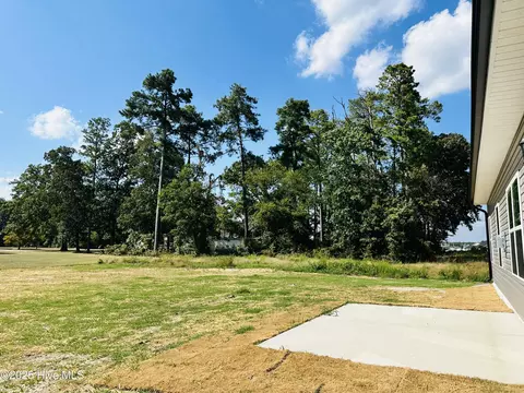 9390 Byron Ct #LOT 208, Bailey, NC 27807 photo 14
