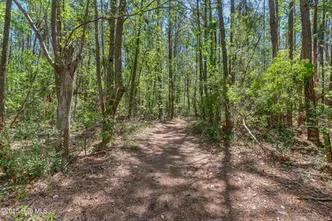 69 Weir Dr, Hampstead, NC 28443 photo 31