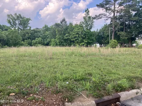 0 45 Ac Raleigh Rd, Wallace, NC 28466 photo 4