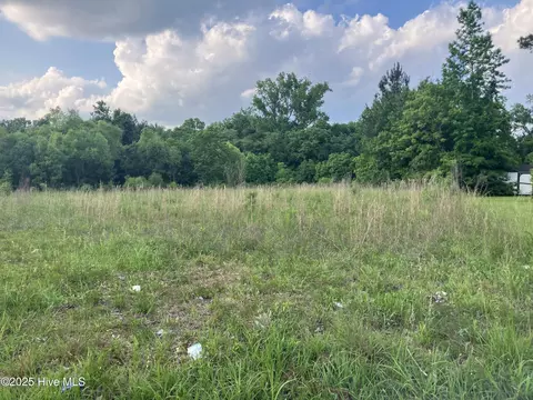 0 45 Ac Raleigh Rd, Wallace, NC 28466