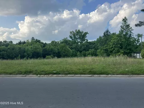 0 45 Ac Raleigh Rd, Wallace, NC 28466 photo 3