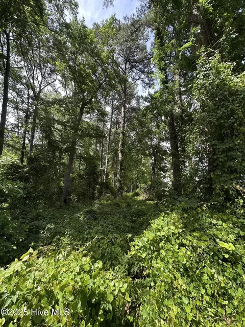 403 Longwood Dr, Pinetops, NC 27864