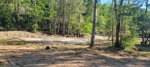 1229 Bee Tree Rd, Swannanoa, NC 28778 photo 5