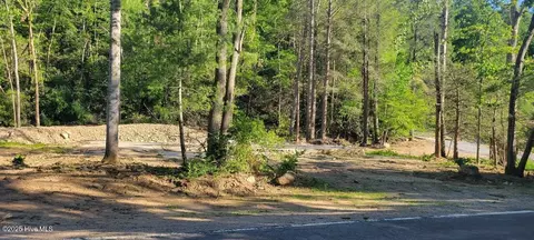 1229 Bee Tree Rd, Swannanoa, NC 28778 photo 6