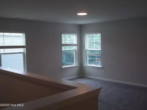 209 Balustrade Way, Hampstead, NC 28443 photo 24