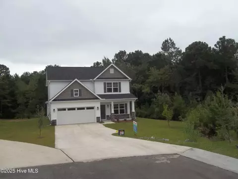 209 Balustrade Way, Hampstead, NC 28443 photo 2