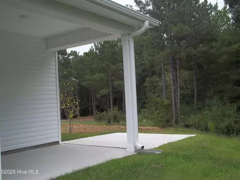 209 Balustrade Way, Hampstead, NC 28443 photo 9