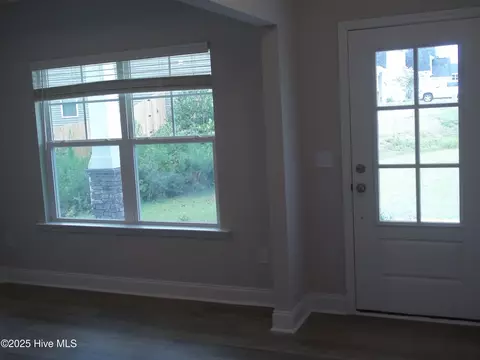 209 Balustrade Way, Hampstead, NC 28443 photo 11