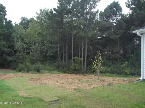 209 Balustrade Way, Hampstead, NC 28443 photo 5